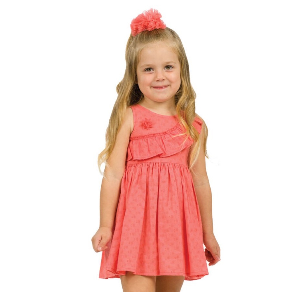 NWT Gymboree Butterfly Catcher Dress Ruffle Corsage